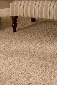carpete